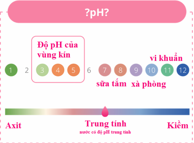 Biểu đồ pH vùng kín.